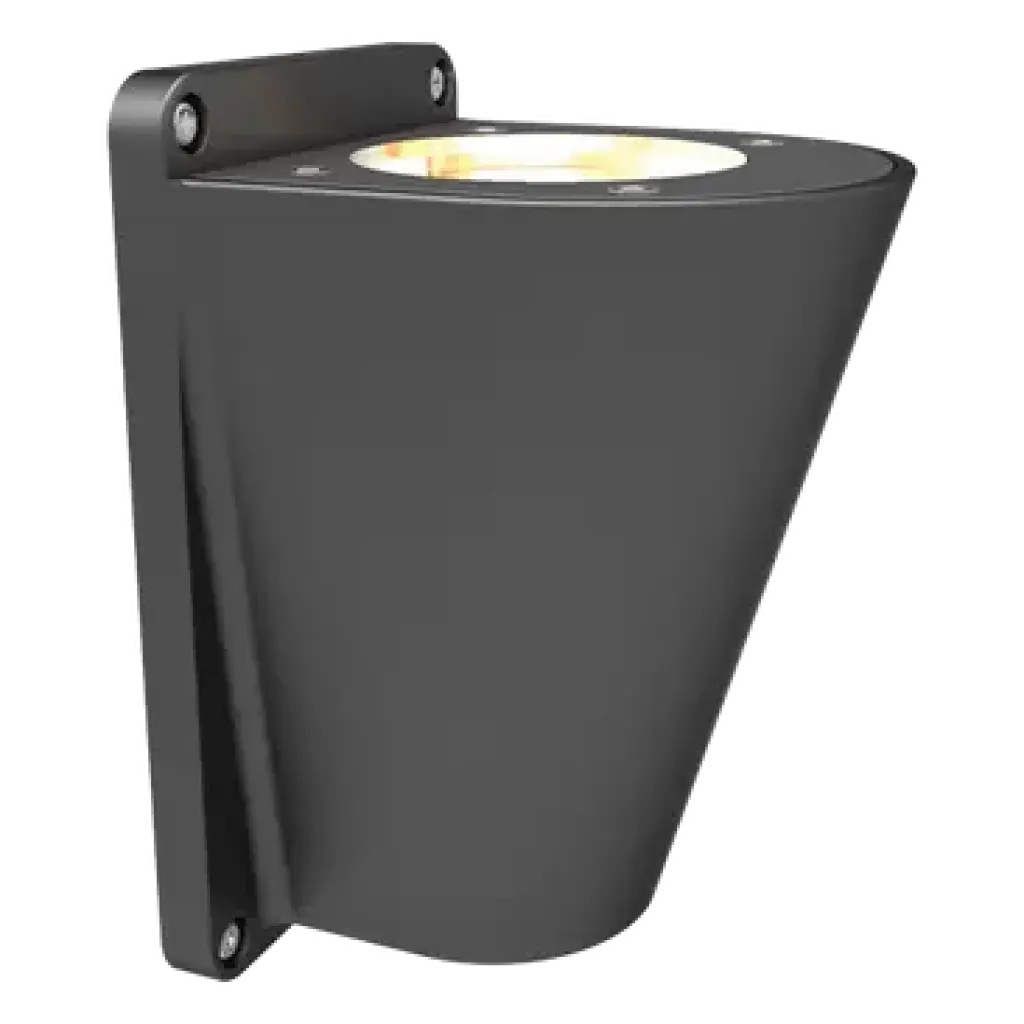 Dugas Outdoor Wall Light