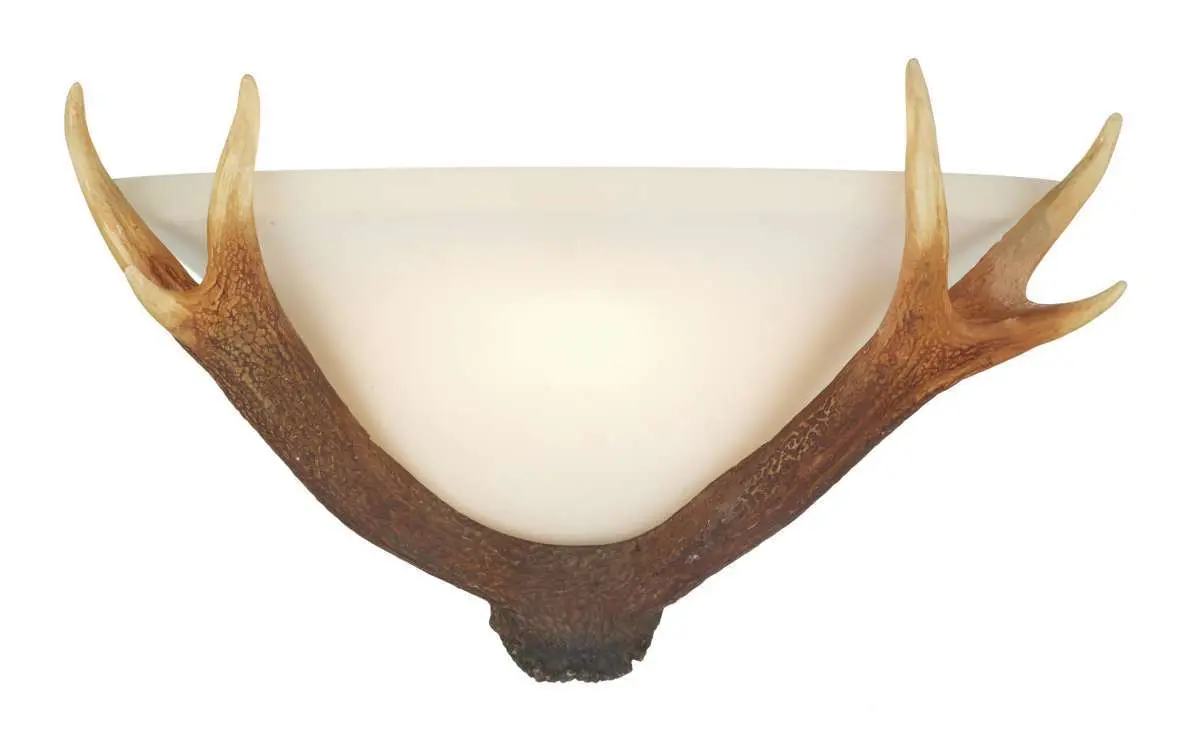 Antler 1 Light Highland Rustic Wall Washer