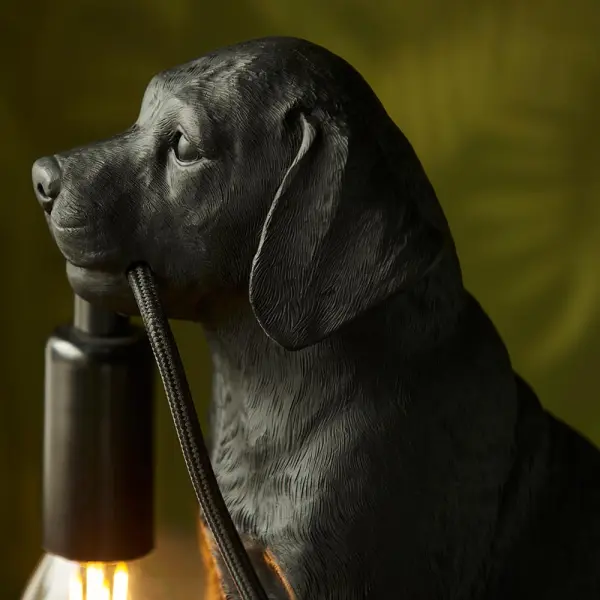 Labrador Puppy Table Lamp in Black Finish