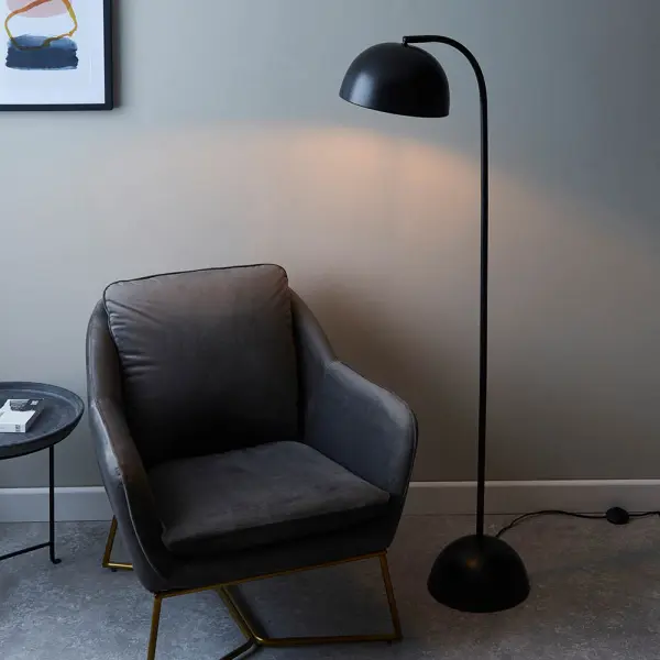 Brodey Floor Lamp in Matt Black Finish