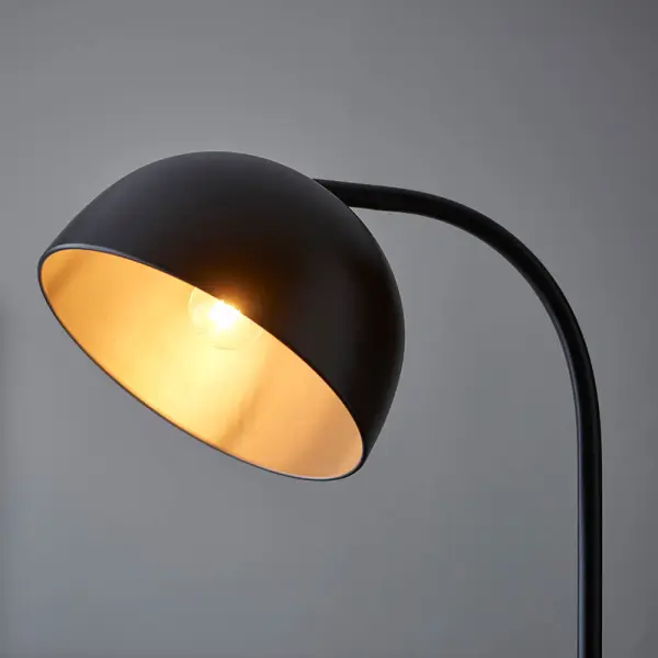 Brodey Floor Lamp in Matt Black Finish