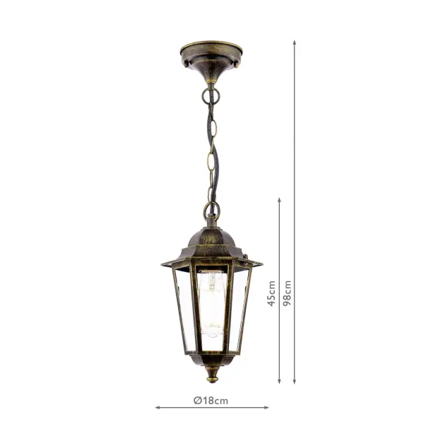 Audley End Outdoor Pendant in Brushed Black & Gold Finish