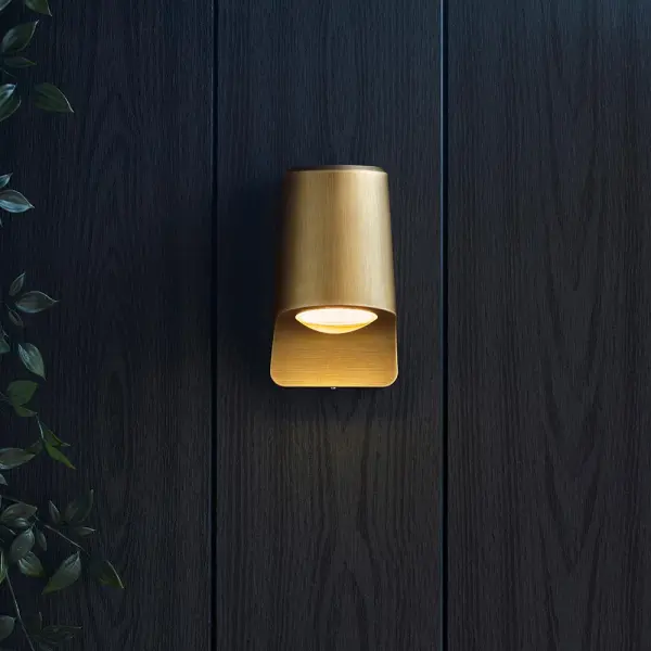 Tommy Brushed Gold LED Wall Light IP44