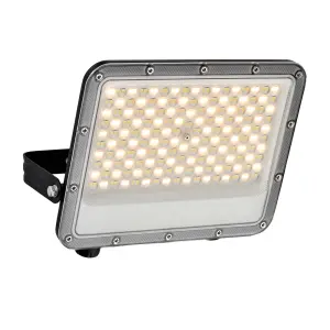 Fortis CCT 100W IP65 - Matt Black