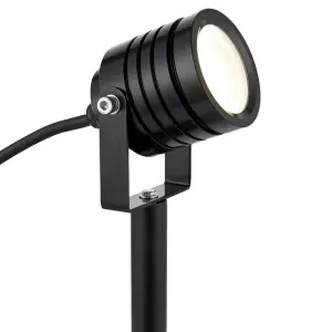 Luminatra 4W Cool White Spike Light in Black
