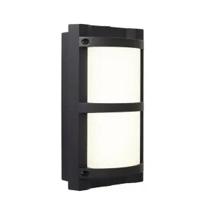 Tridon Black Outdoor CCT Wall Light