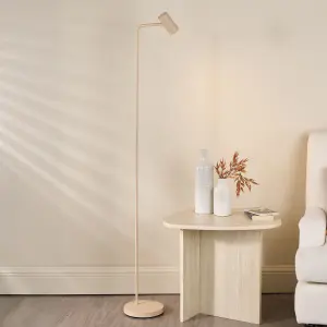 Thierry Matt Taupe Floor Lamp